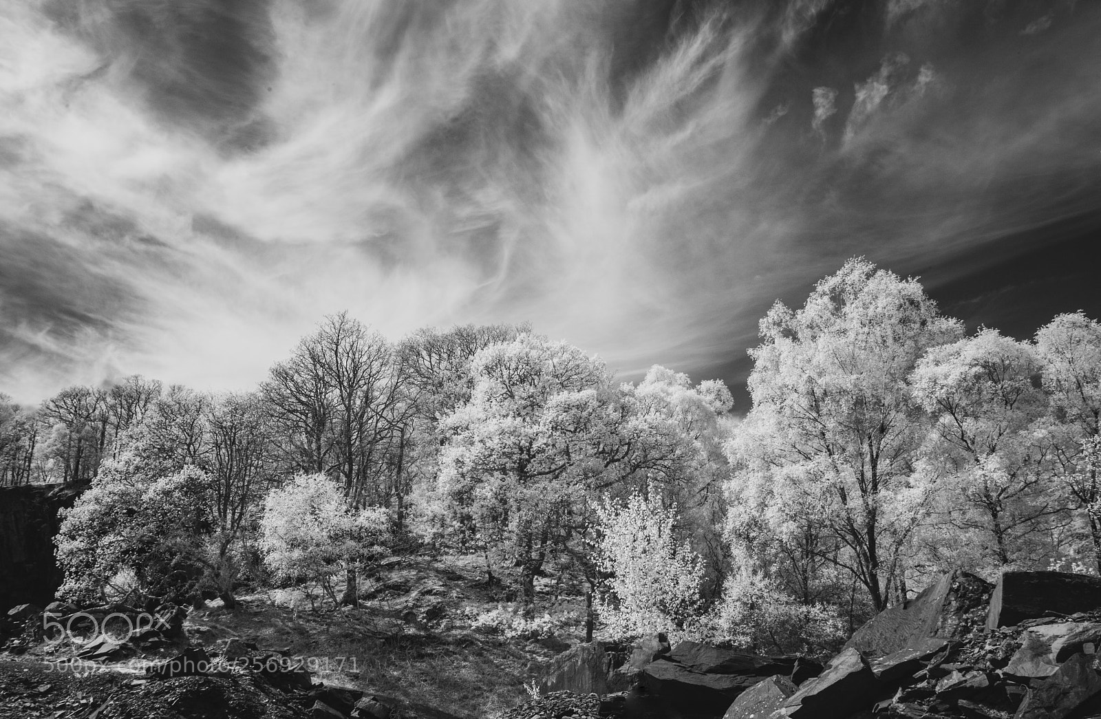 Canon EOS 5D Mark II sample photo. Hodge landscape photography