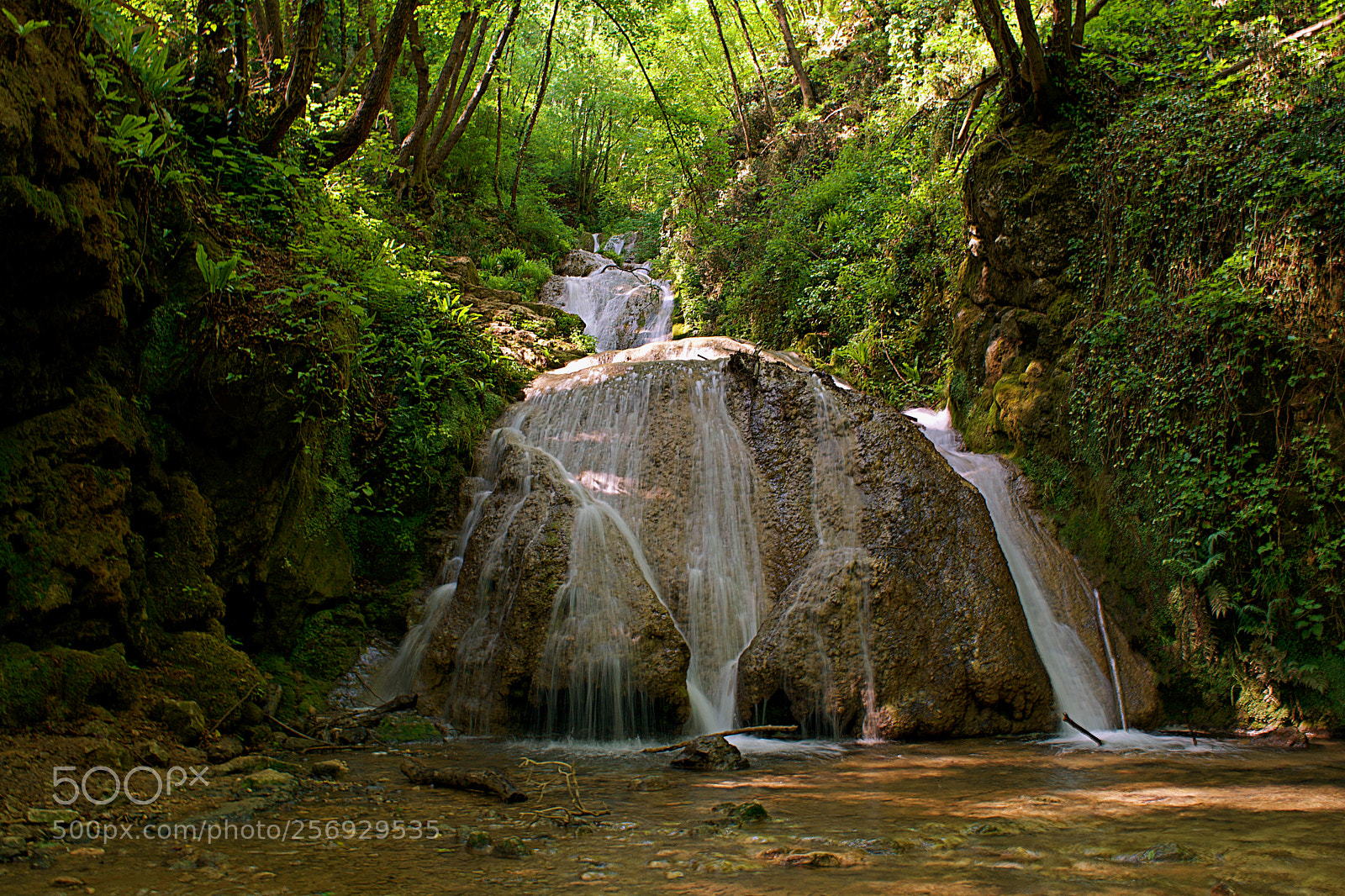 Nikon D5200 sample photo. Wild & free photography