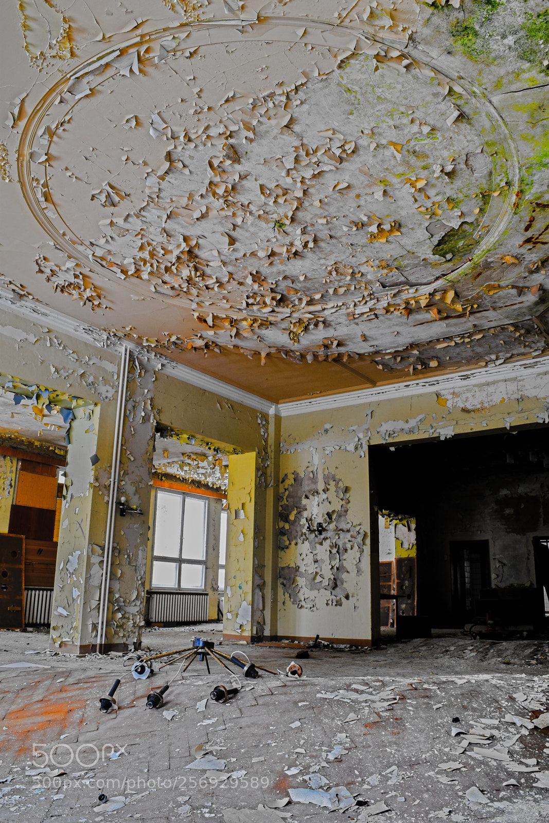 Nikon D3300 sample photo. Beautiful old ceiling photography