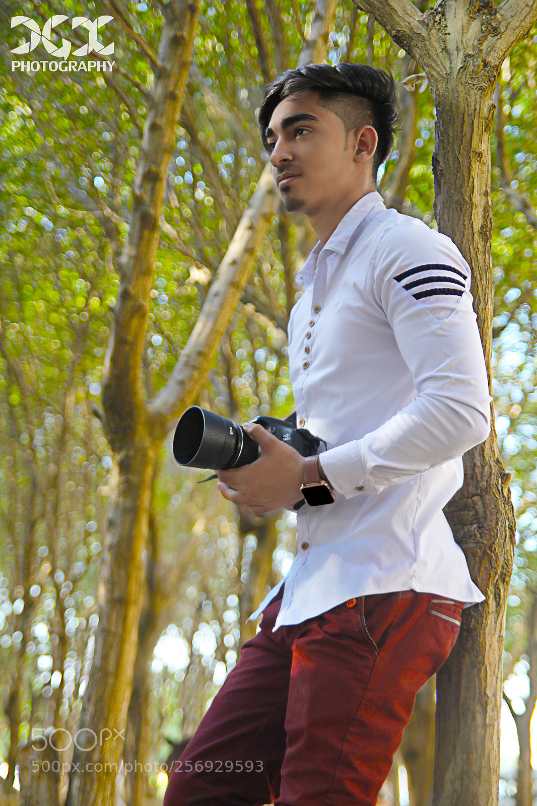 Canon EOS 60D sample photo. Img photography