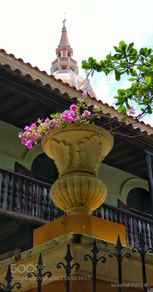 Samsung Galaxy S9+ sample photo. Florero photography