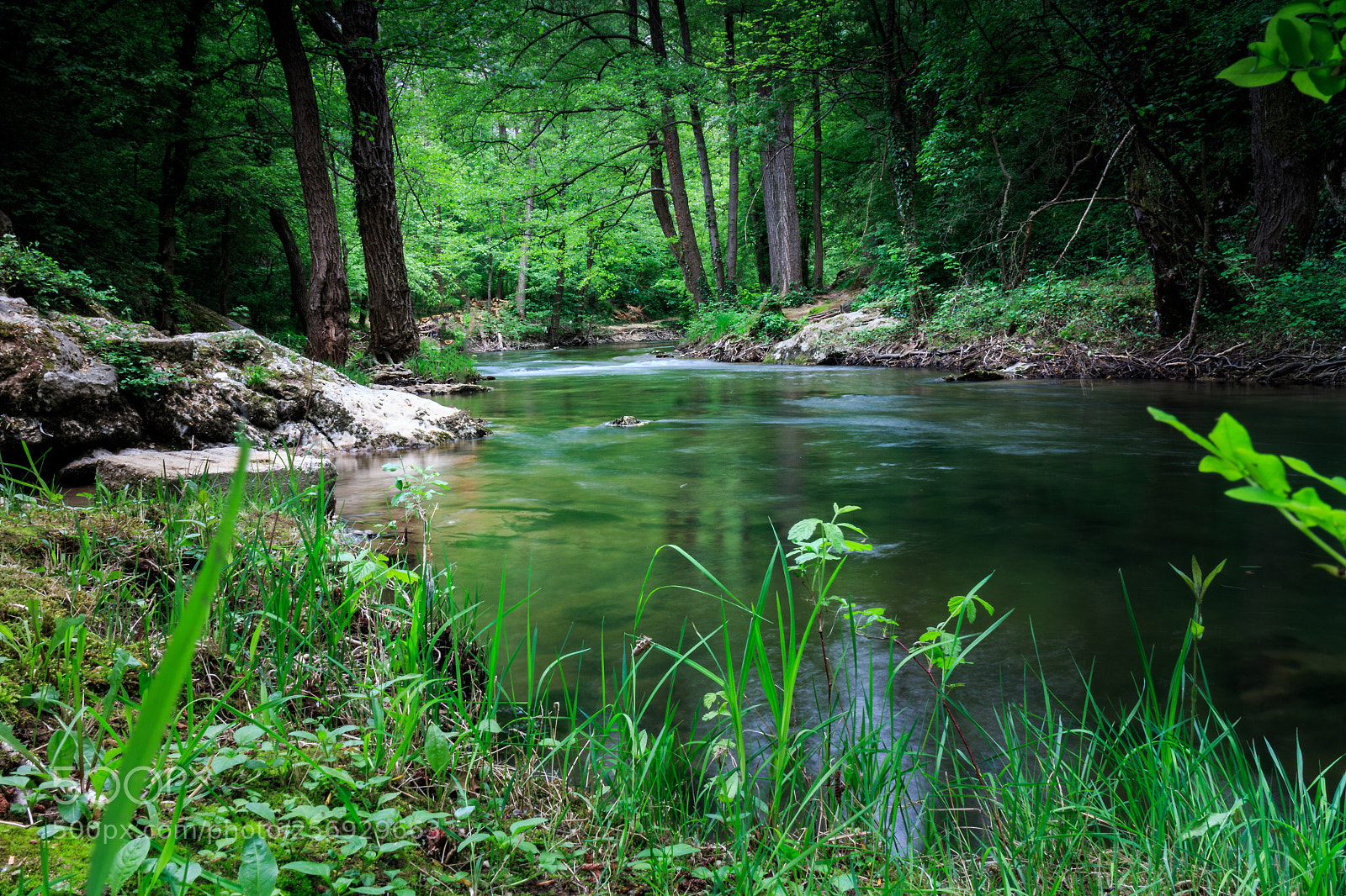 Canon EOS M sample photo. Forest creek photography