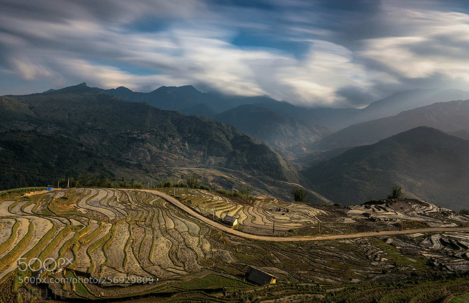 Sony a7R II sample photo. Terraced fileds ngai thau photography