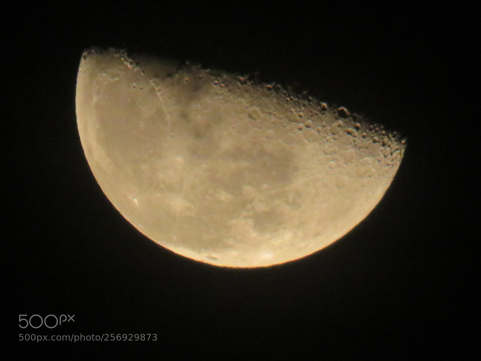 Canon PowerShot SX60 HS sample photo. Moon comes my hands photography
