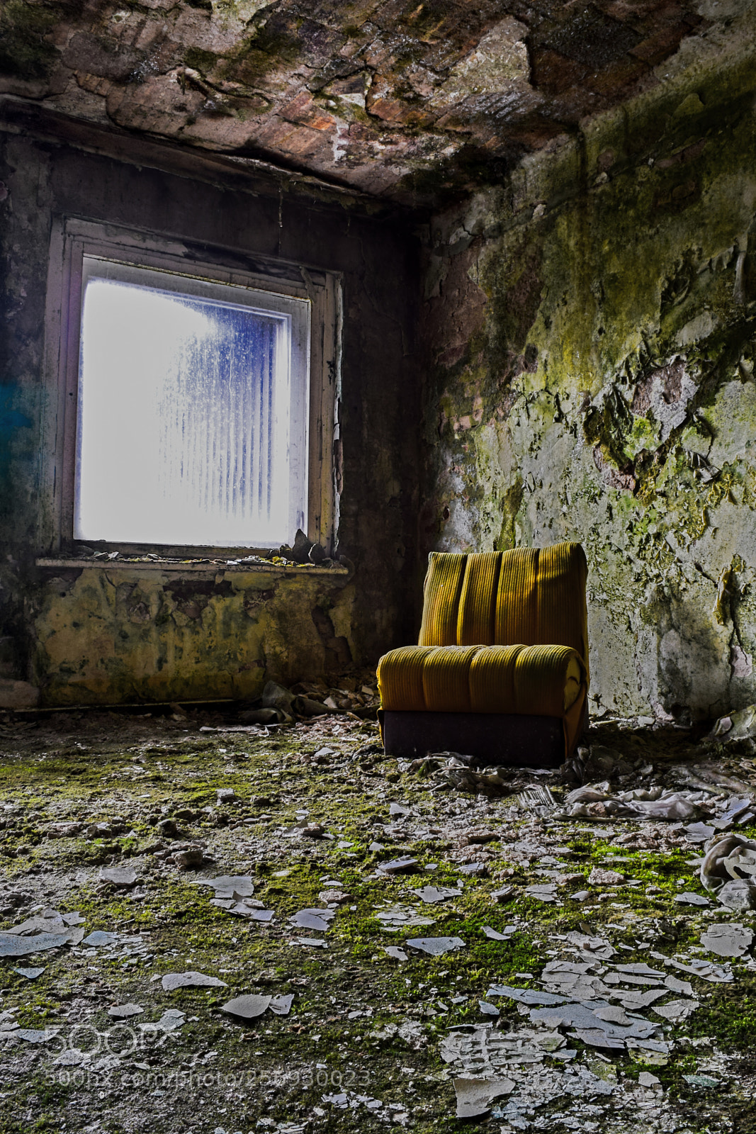 Nikon D3300 sample photo. Window and seat composition photography