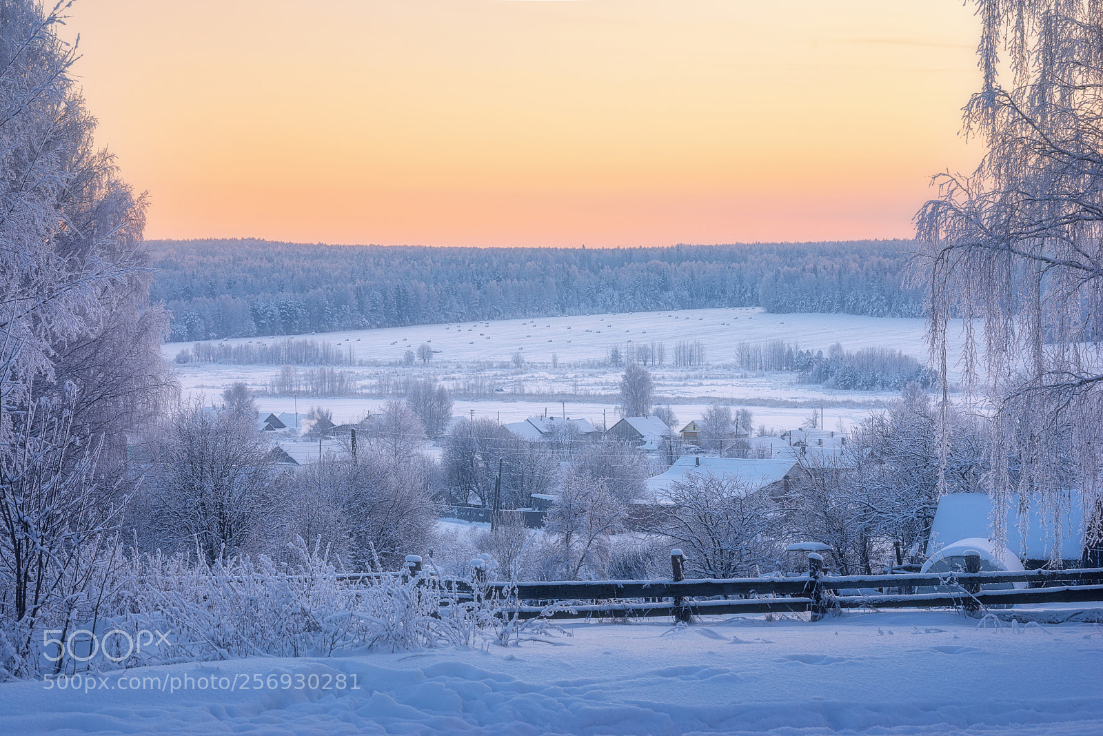 Nikon D610 sample photo. 916. winter in the photography