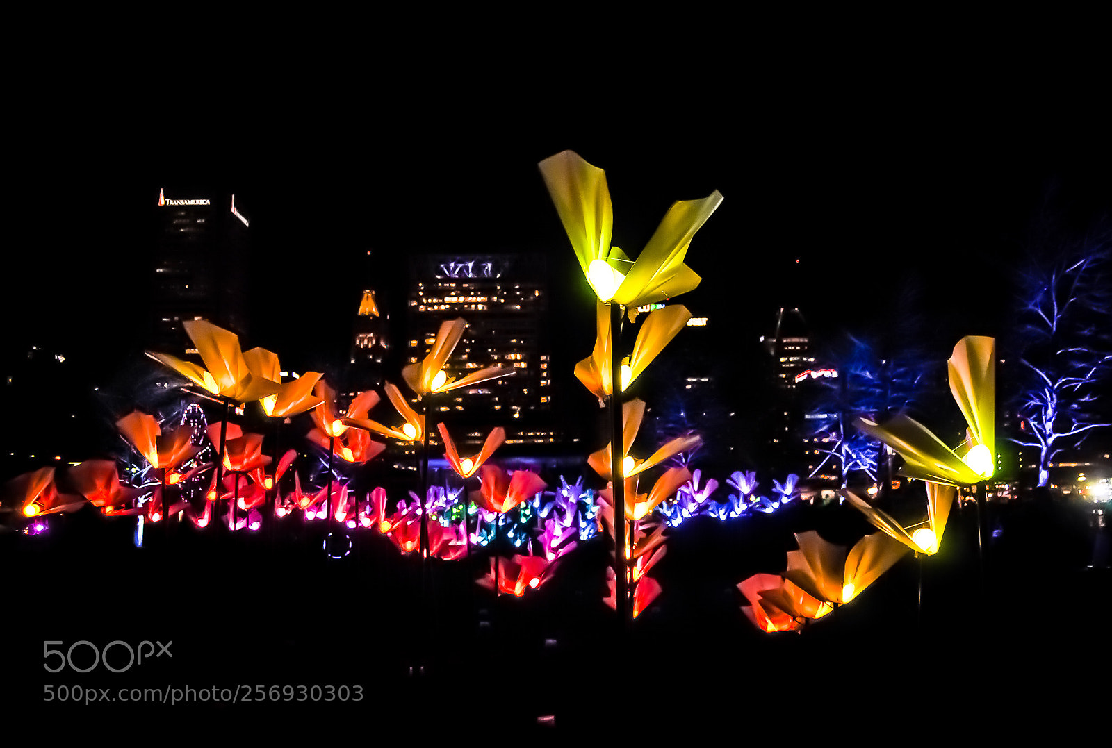 Nikon D3000 sample photo. Lightcity3 photography