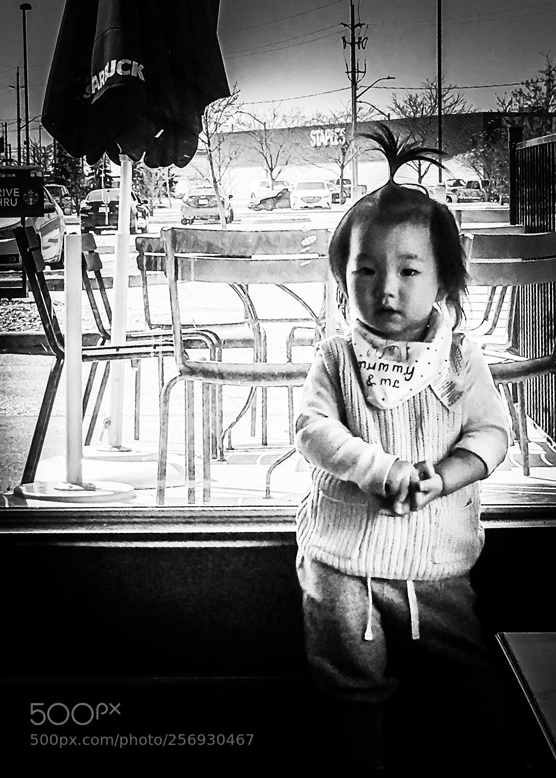 Apple iPhone 6s sample photo. Little observer. windsor, on.  photography