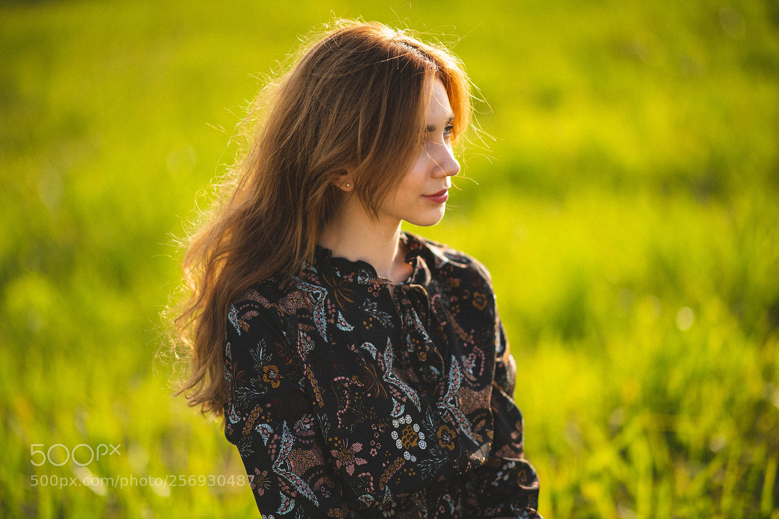 Nikon D850 sample photo. Forest photography