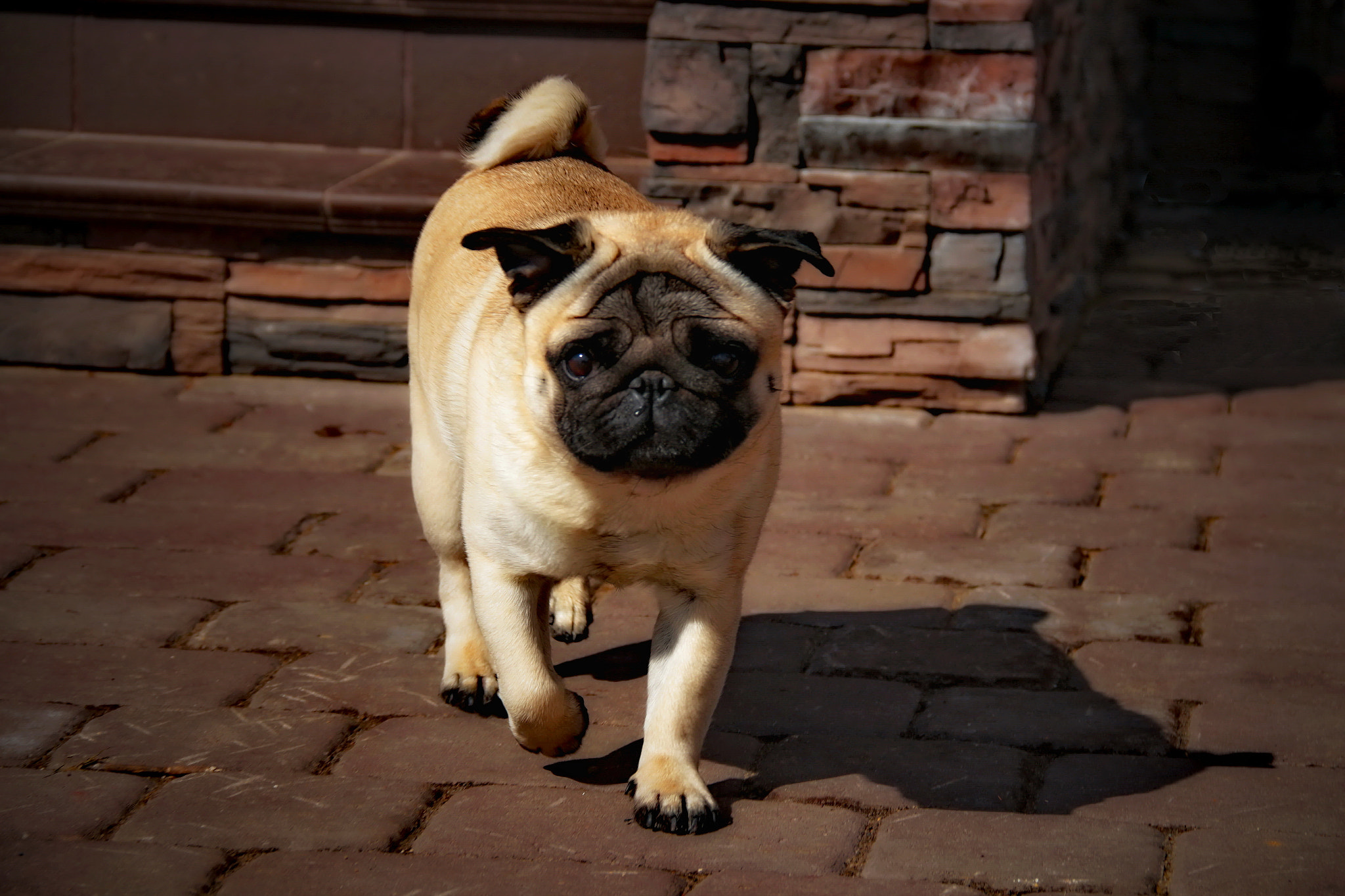 Canon EOS sample photo. Call photography