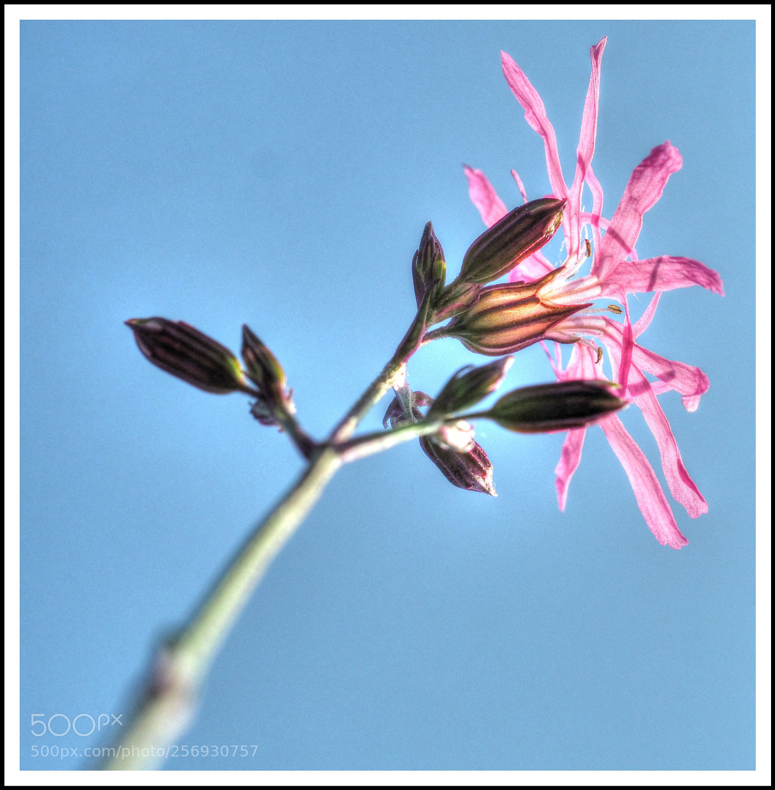 Olympus OM-D E-M1 Mark II sample photo. Von unten photography