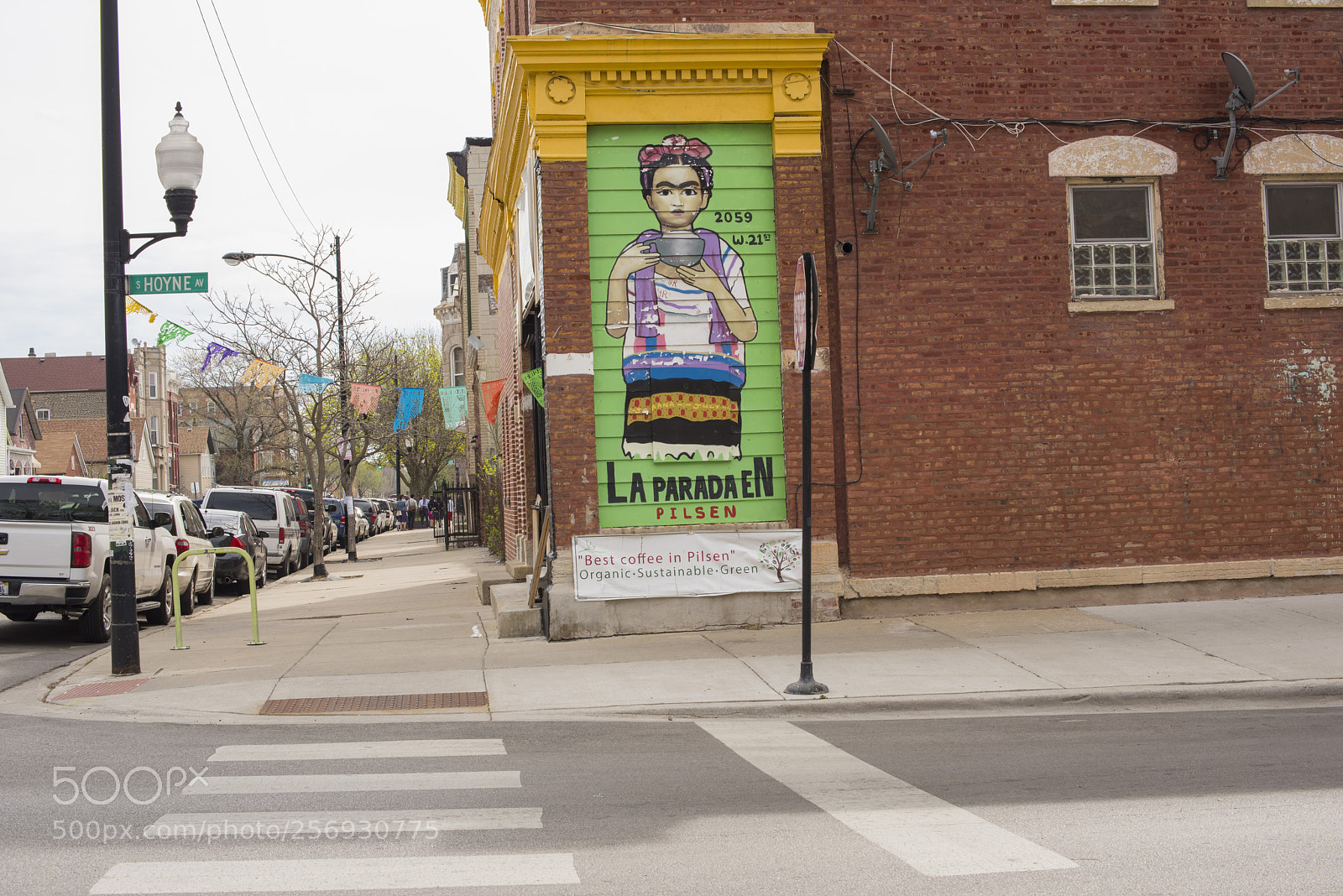 Nikon D810 sample photo. Frida kahlo mural, pilsen photography