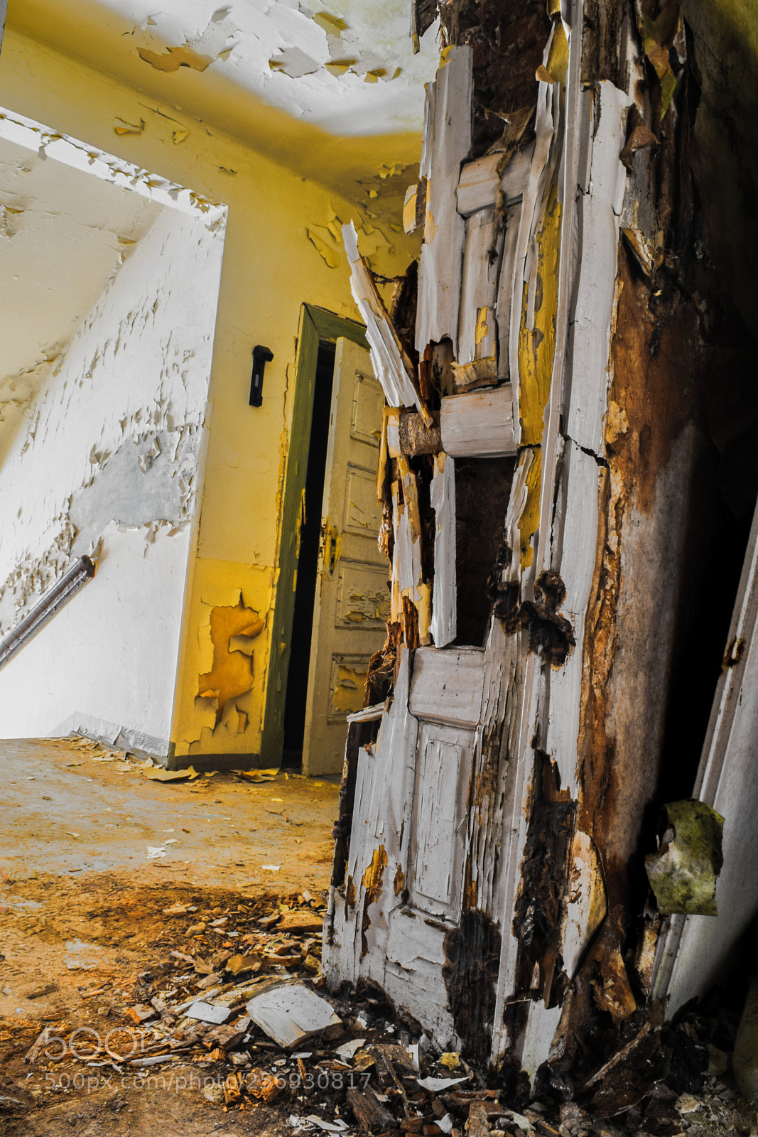 Nikon D3300 sample photo. Broken door photography