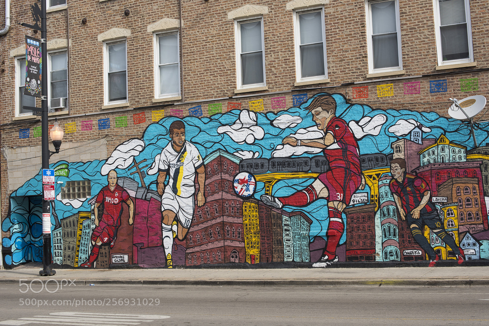 Nikon D810 sample photo. Pilsen neighborhood public art photography