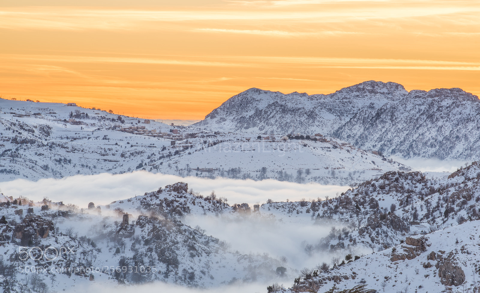 Nikon D810 sample photo. Winter sunset photography