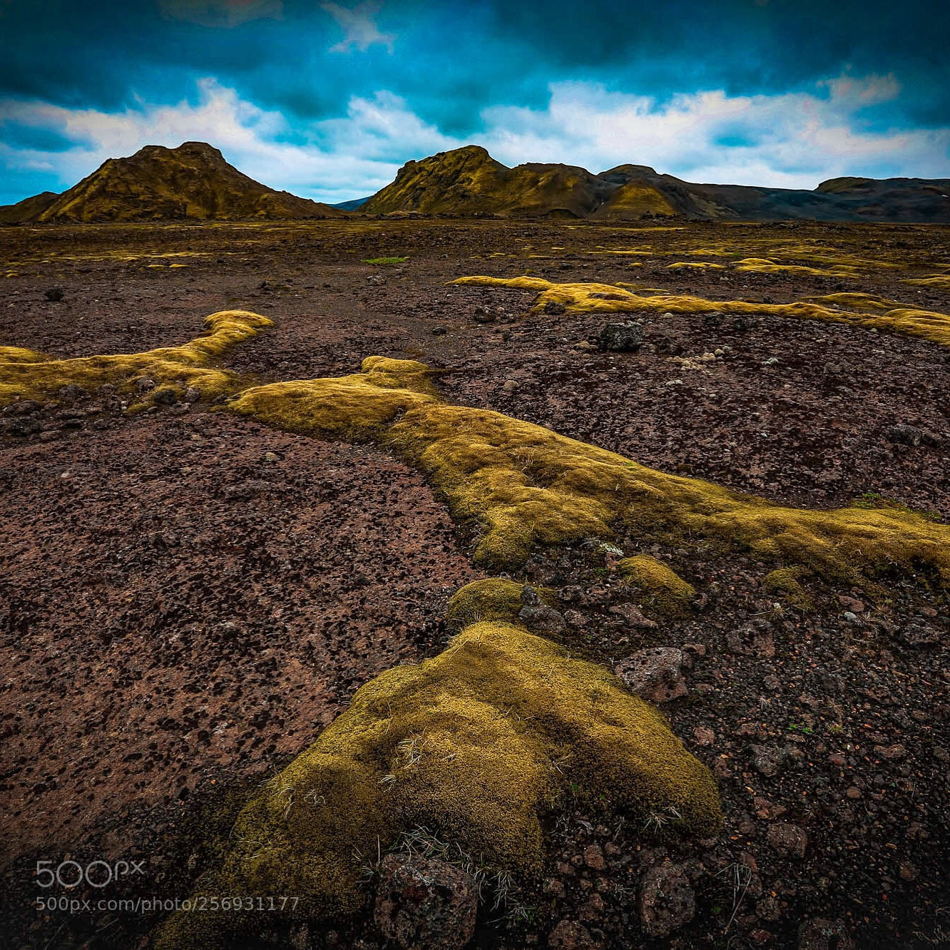 Canon EOS 6D sample photo. "mossy foregrounds" photography