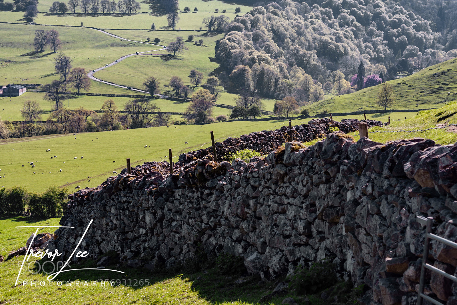 Canon EOS 40D sample photo. Dovedale..... photography