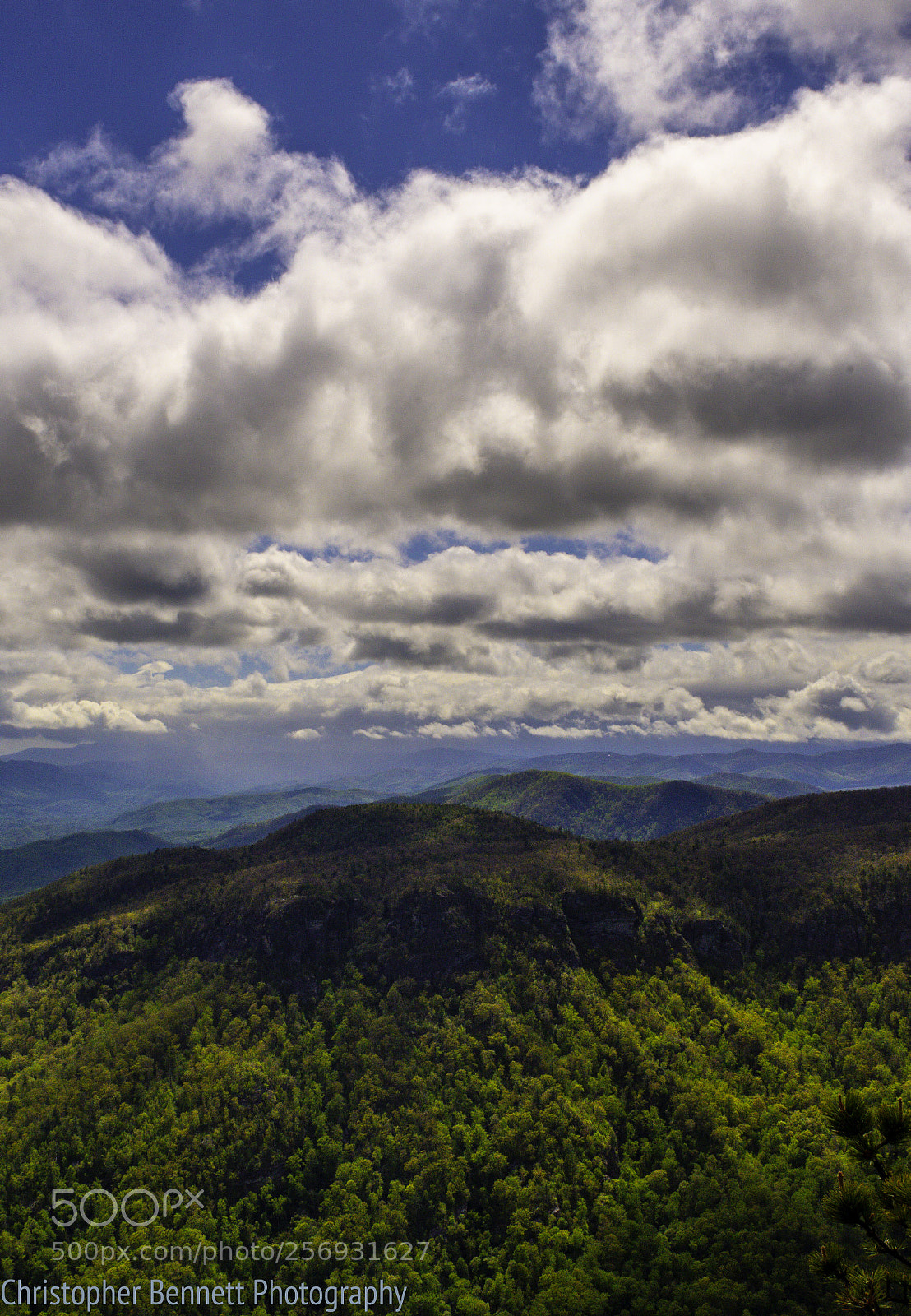 Nikon D850 sample photo. Spring in appalachia  photography