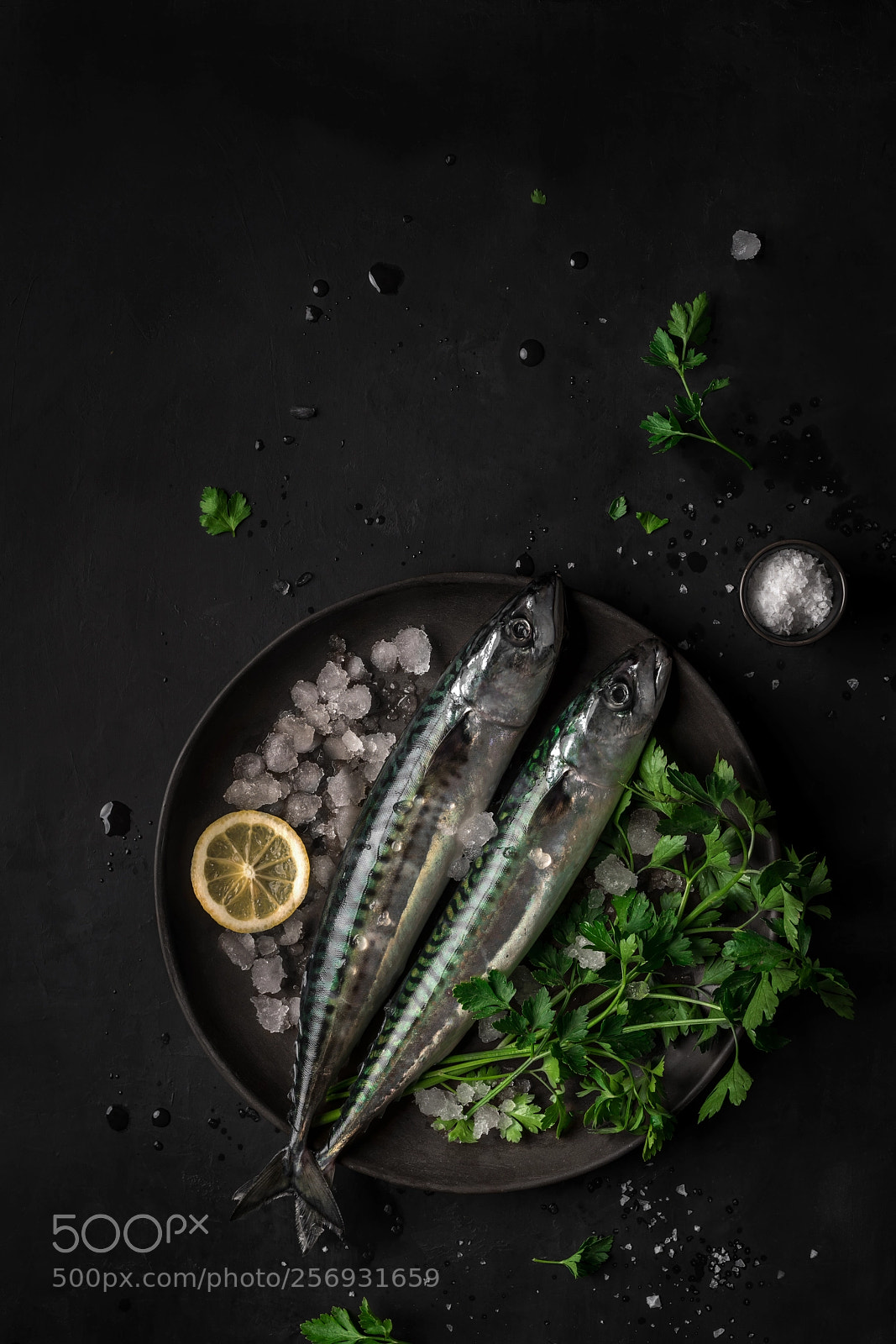 Sony a7R II sample photo. Mackerels photography