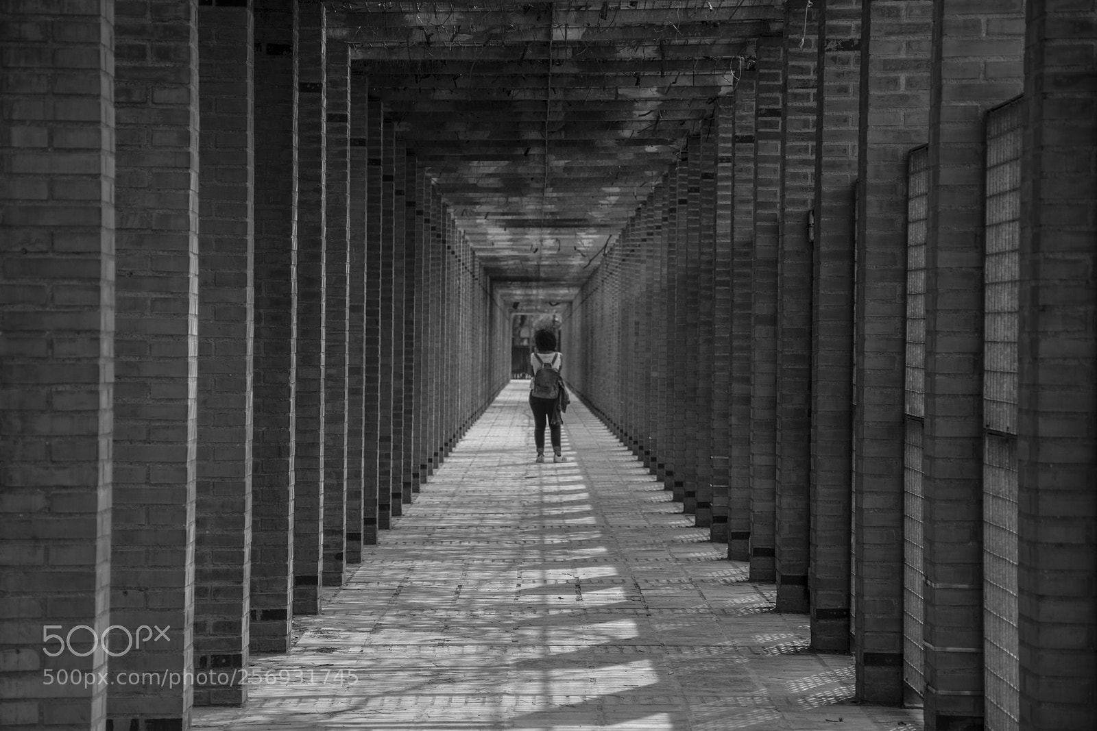 Nikon D7200 sample photo. Passage lines photography