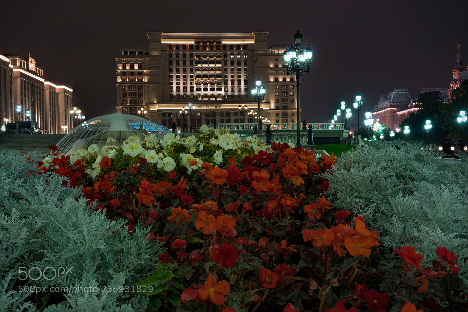 Sony a7R II sample photo. Night. photography