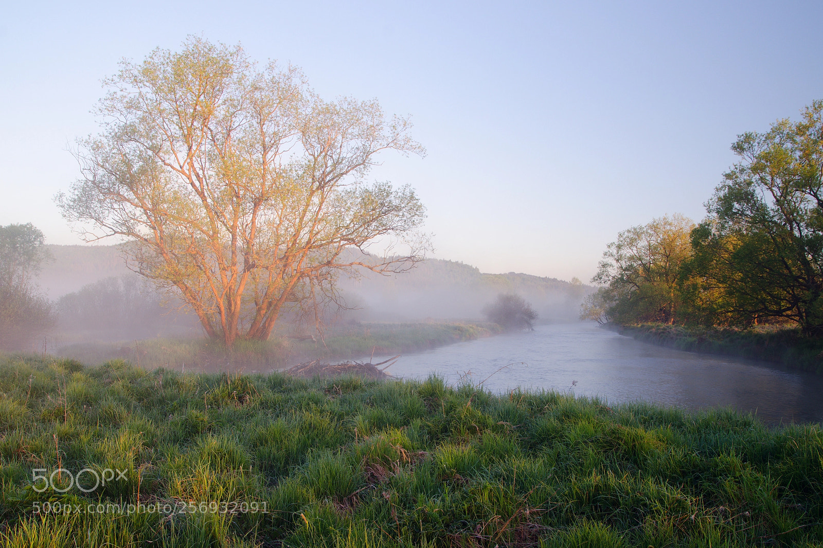 Nikon D7000 sample photo. Morning at the river photography