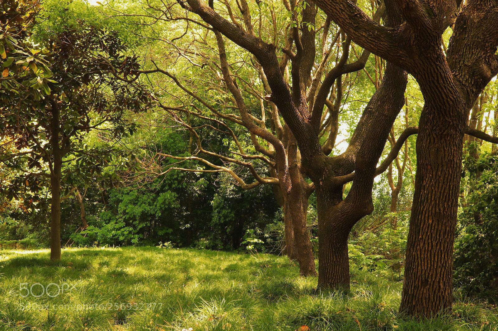 Canon EOS 800D (EOS Rebel T7i / EOS Kiss X9i) sample photo. Near the paradise by photography