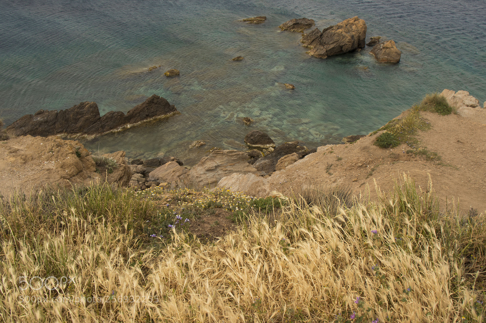 Canon EOS 200D (EOS Rebel SL2 / EOS Kiss X9) sample photo. Greek capo sunio photography