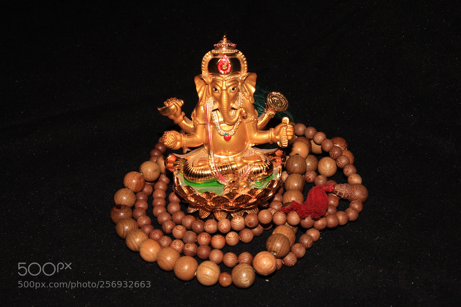 Canon EOS 60D sample photo. Ganesh photography