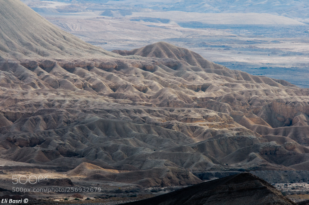 Nikon D300S sample photo. Negev desert photography