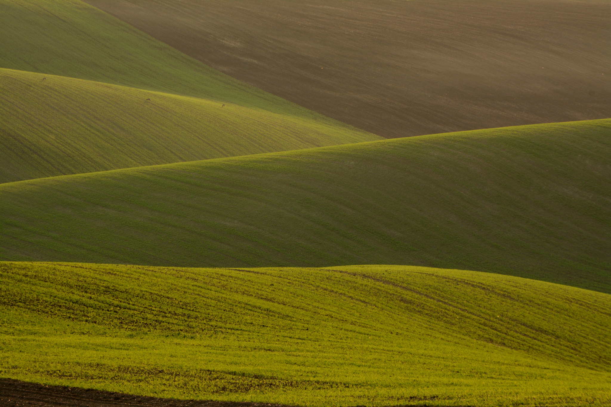 Nikon D7100 sample photo. Lost in infinity photography