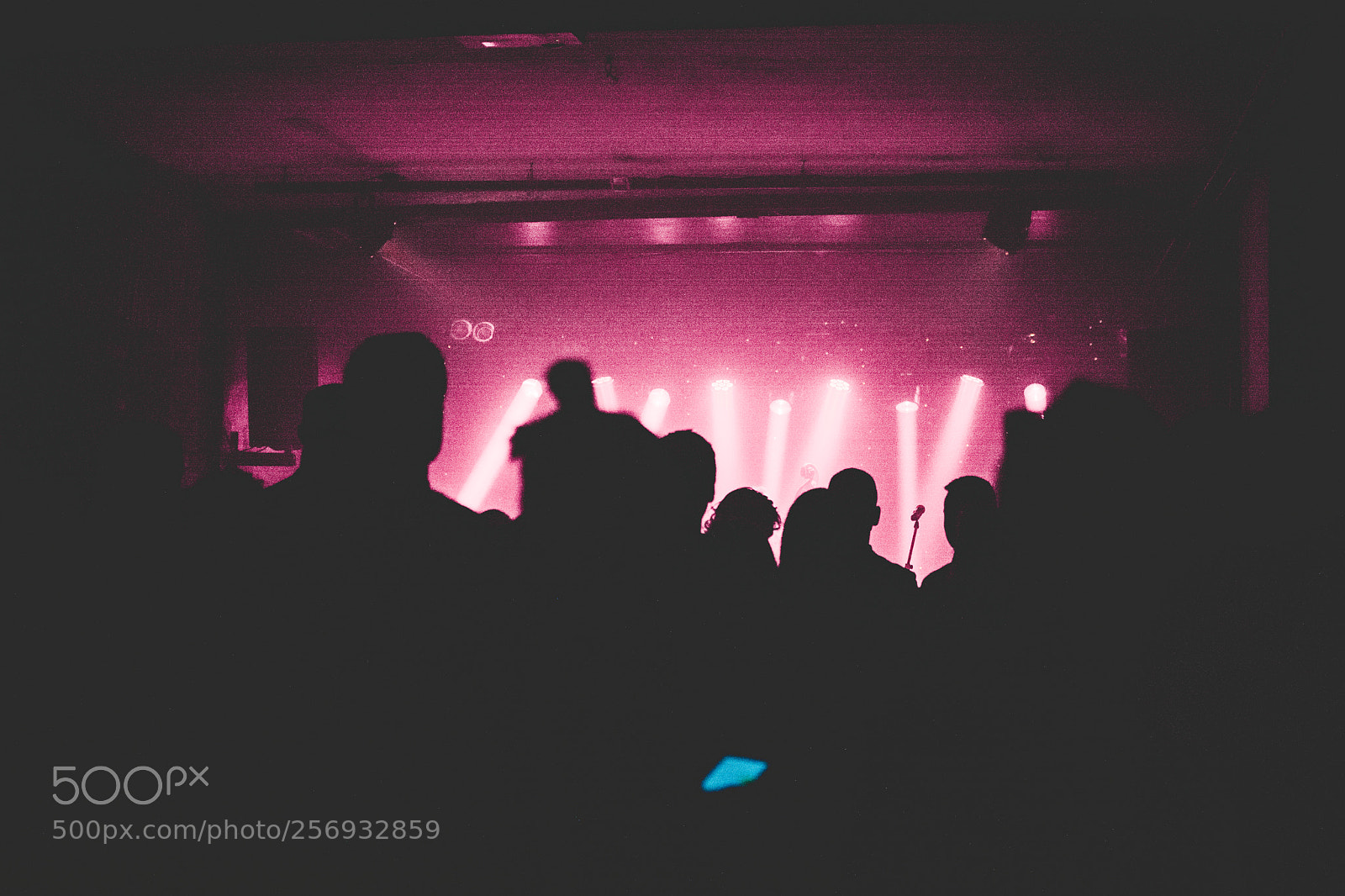 Nikon D7100 sample photo. Untitled photography