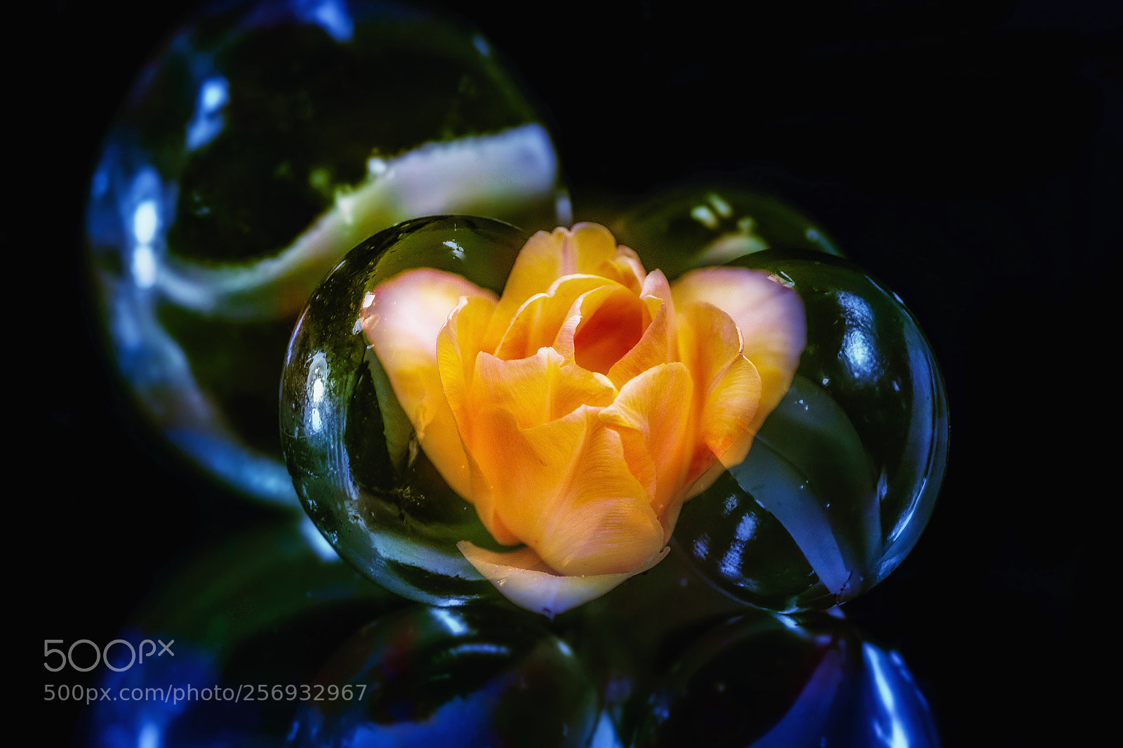 Nikon D4 sample photo. Magic marbles photography