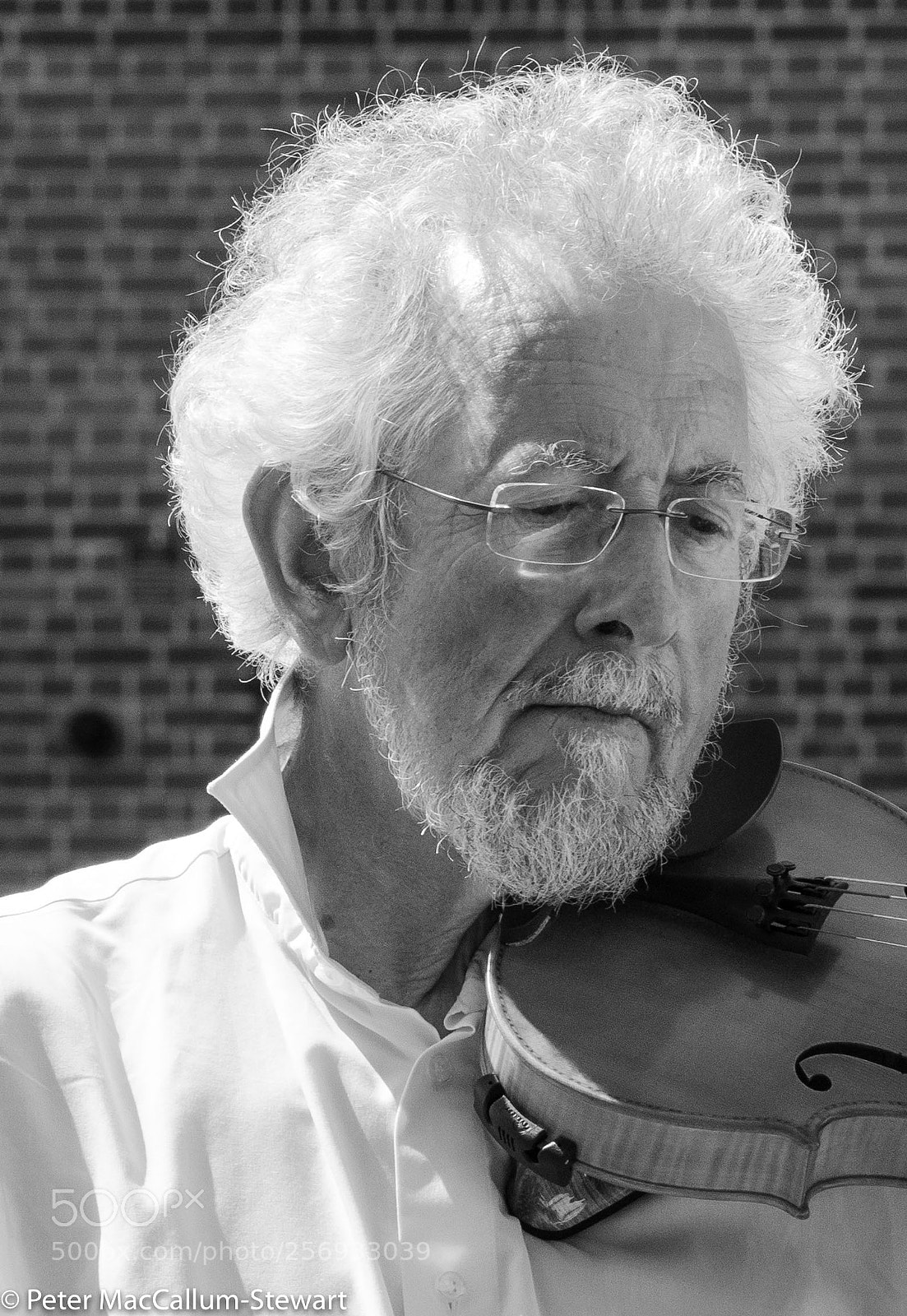 Olympus OM-D E-M1 Mark II sample photo. The fiddle player photography