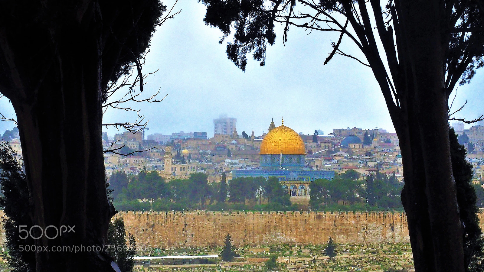 Olympus OM-D E-M10 II sample photo. Jerusalem    olympus digital camera photography