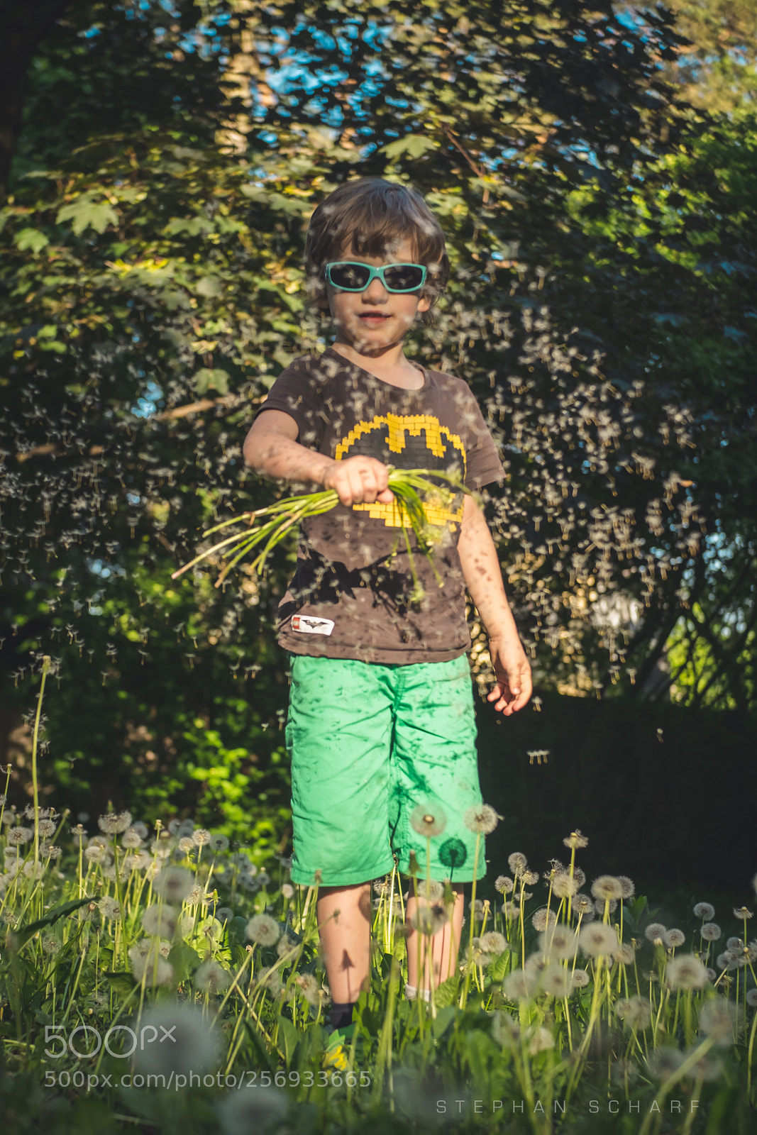 Fujifilm X-T10 sample photo. Fun with dandelions photography