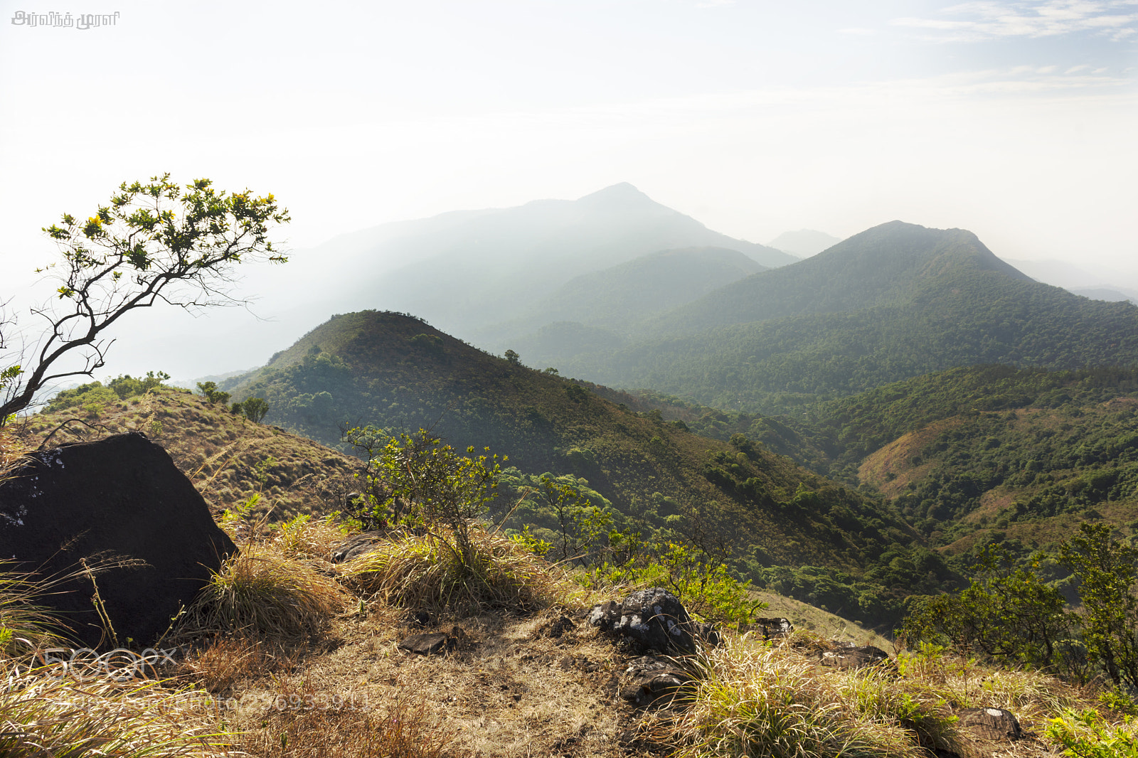 Nikon D7200 sample photo. @coorg photography