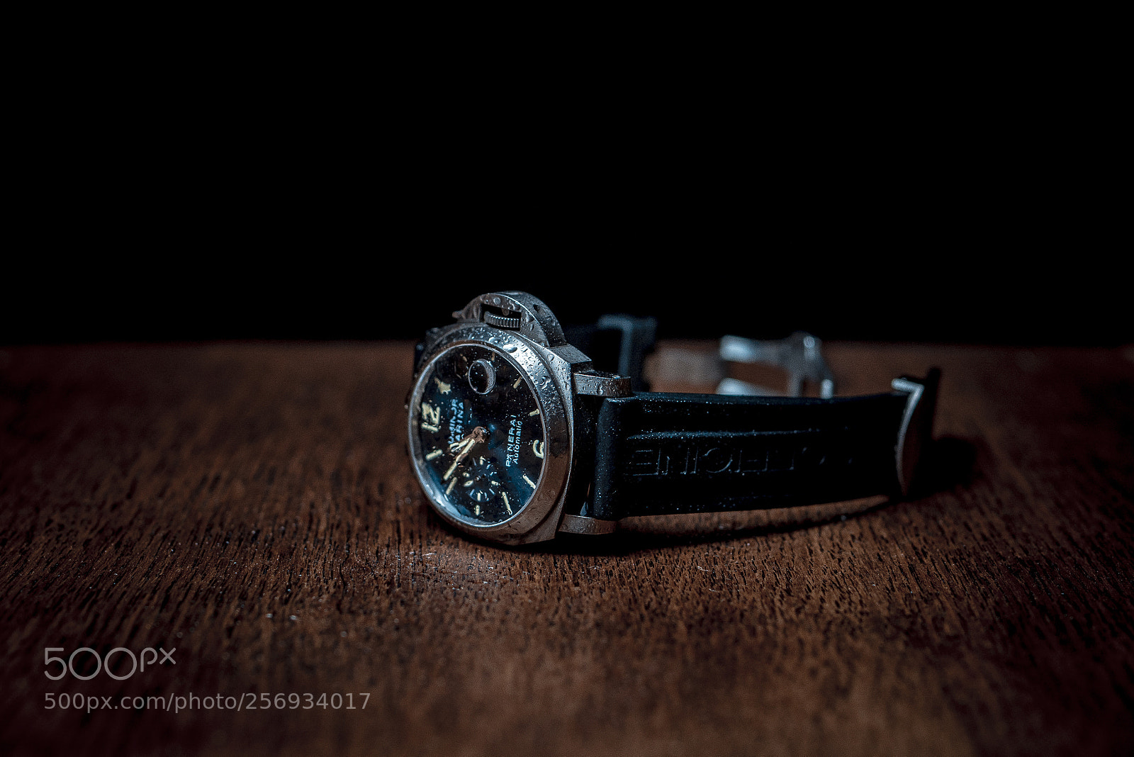 Sony a7R II sample photo. Pany photography