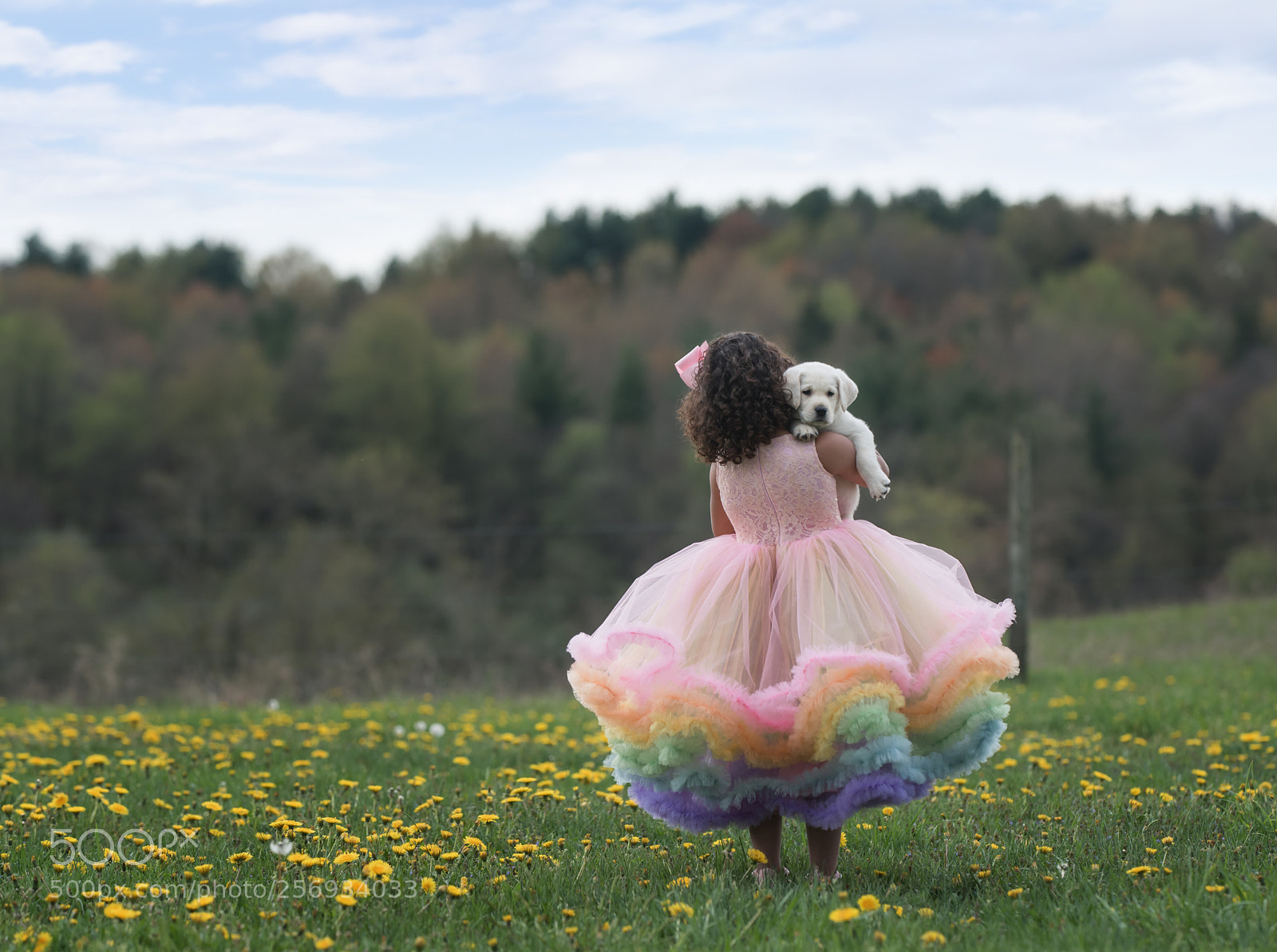 Nikon D750 sample photo. Puppy love photography