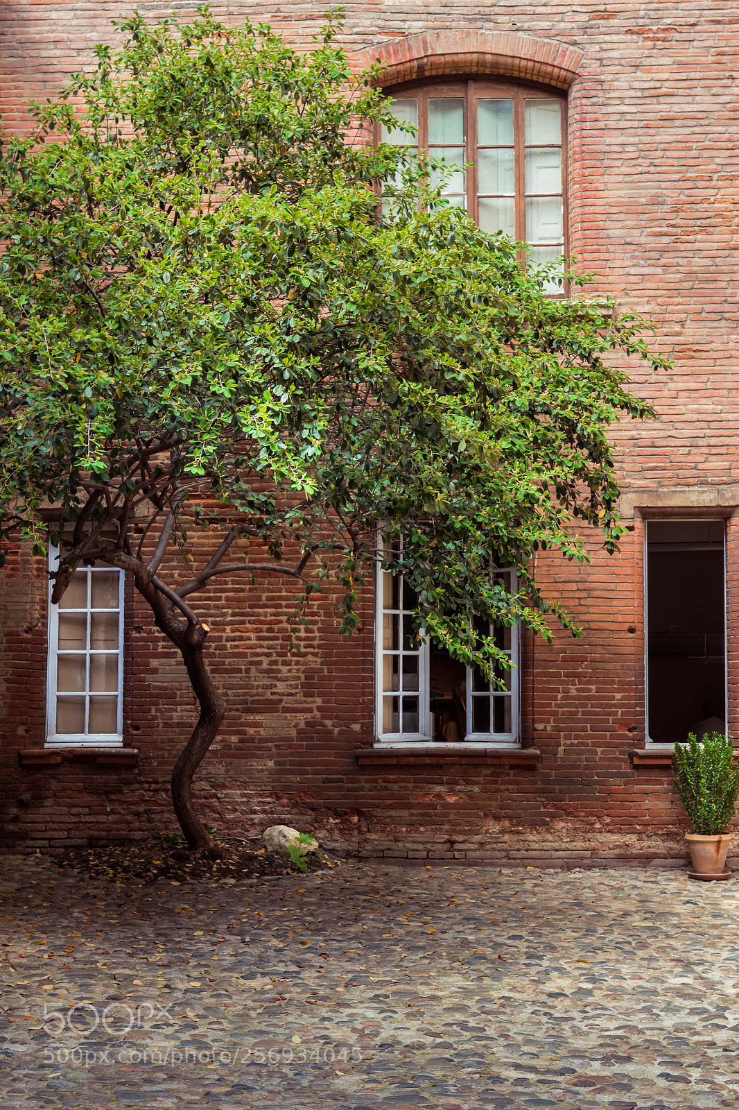 Canon EOS 100D (EOS Rebel SL1 / EOS Kiss X7) sample photo. Hidden place  in toulouse photography