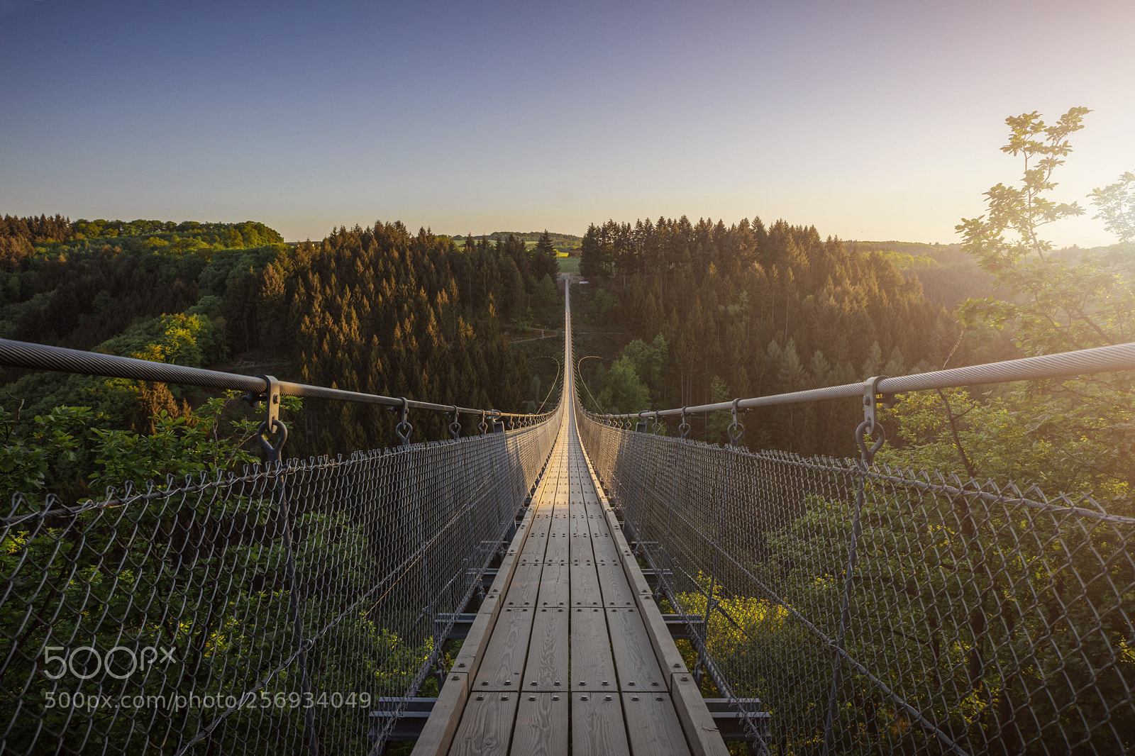 Sony a7R sample photo. Hängeseilbrücke geierlay photography