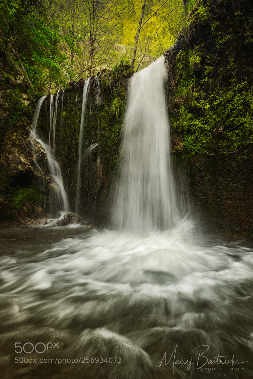 Nikon D800 sample photo. Valle delle ferriere photography