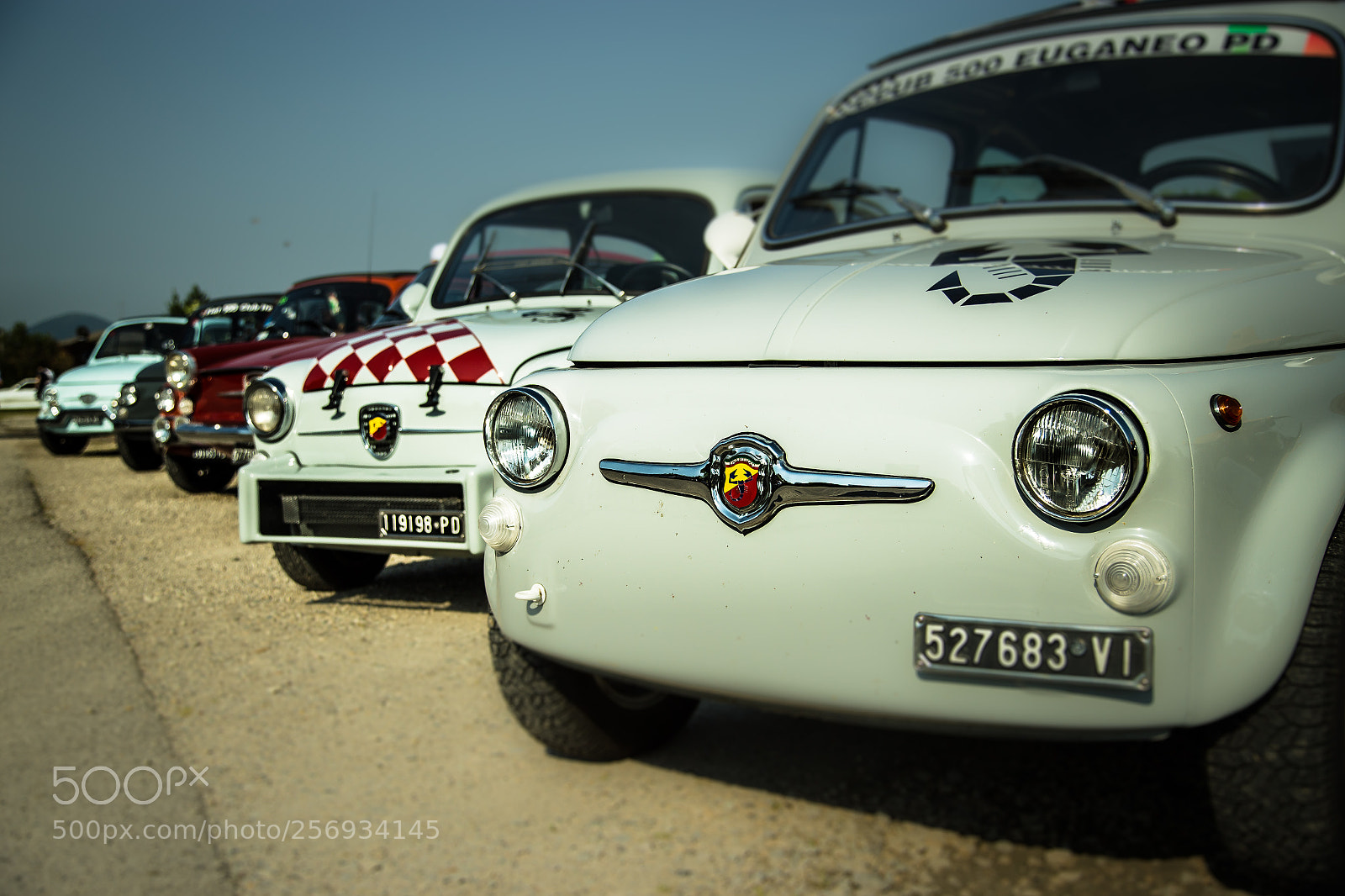 Canon EOS 6D sample photo. Raduno fiat 500 photography