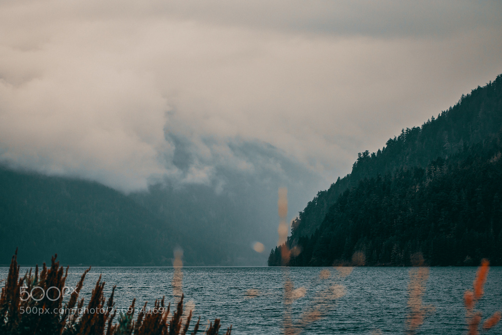 Canon EOS 750D (EOS Rebel T6i / EOS Kiss X8i) sample photo. Low fog photography