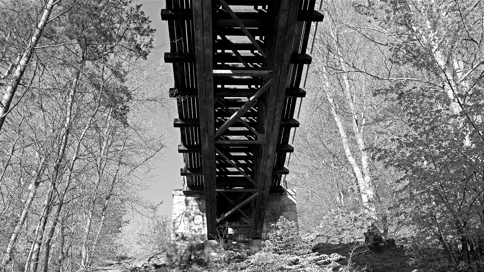 Nikon D3200 sample photo. Bridge to nowhere photography