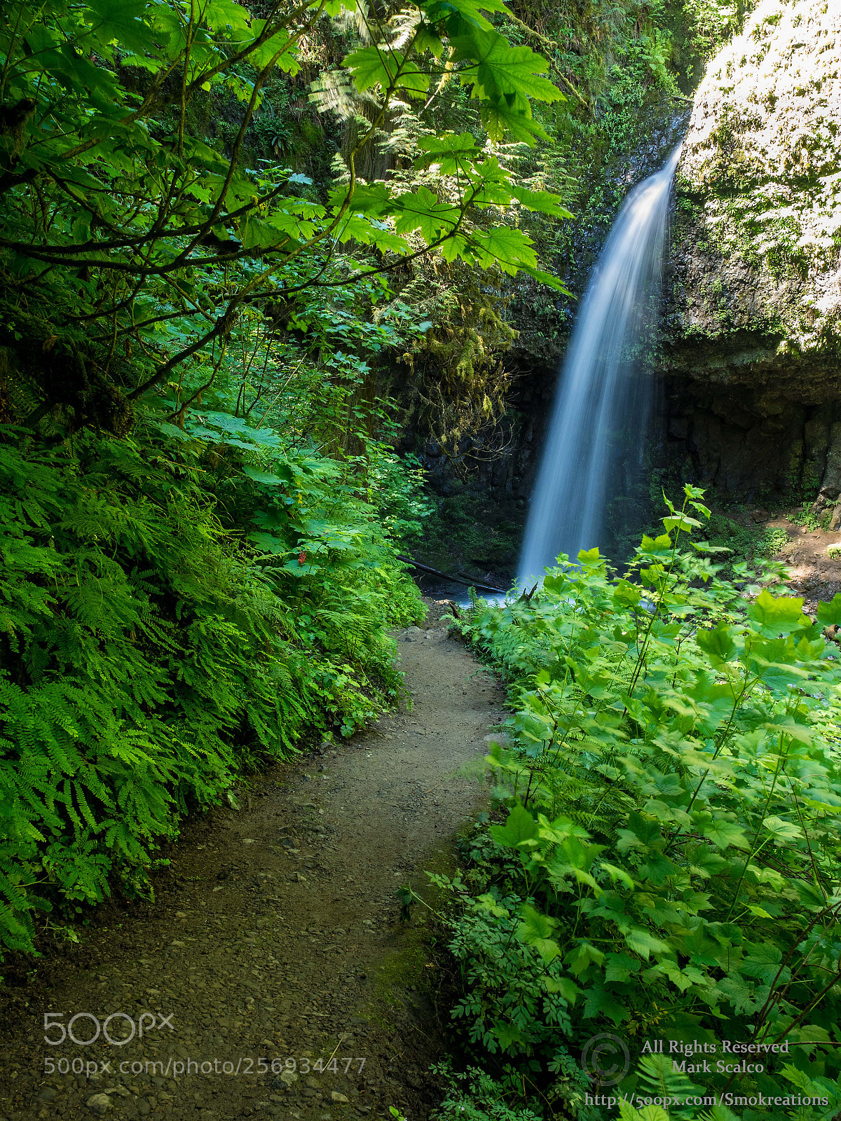 Olympus OM-D E-M1 sample photo. Upper latourell falls photography