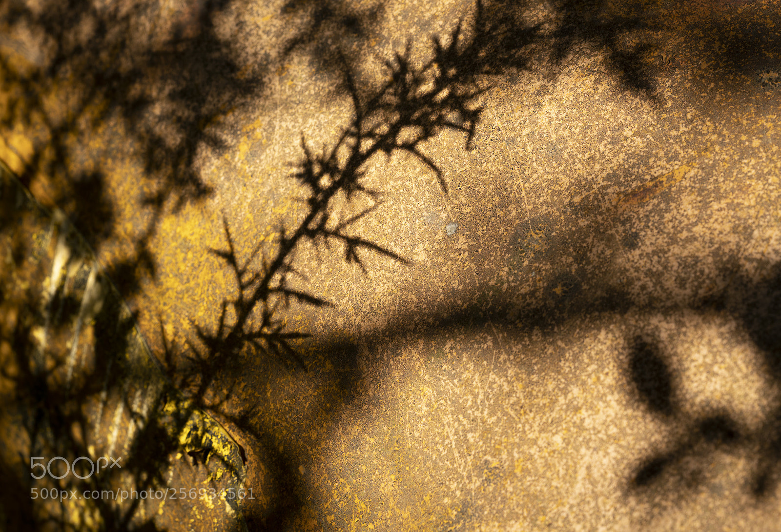 Sony a7R III sample photo. Shadows on rust photography