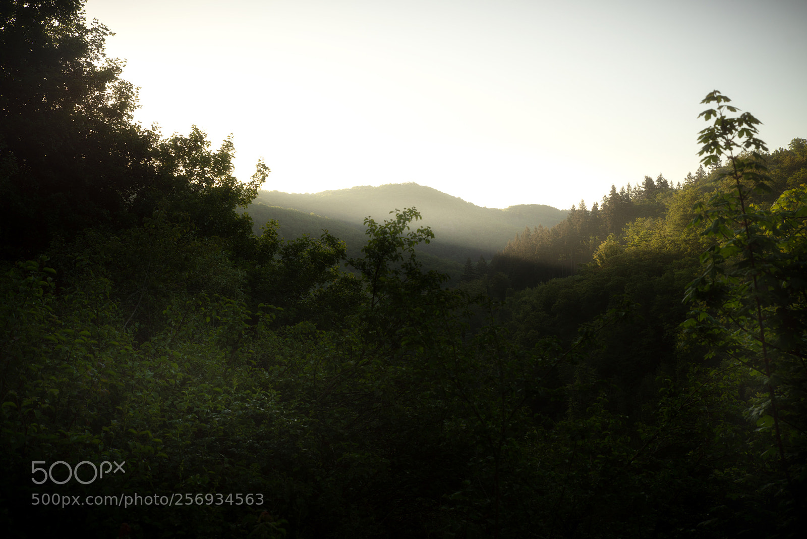 Sony a7R sample photo. Sunrise photography