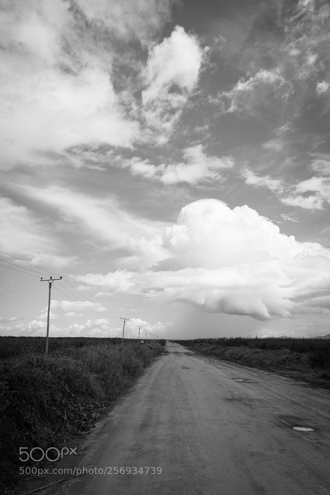Nikon D3100 sample photo. Road photography
