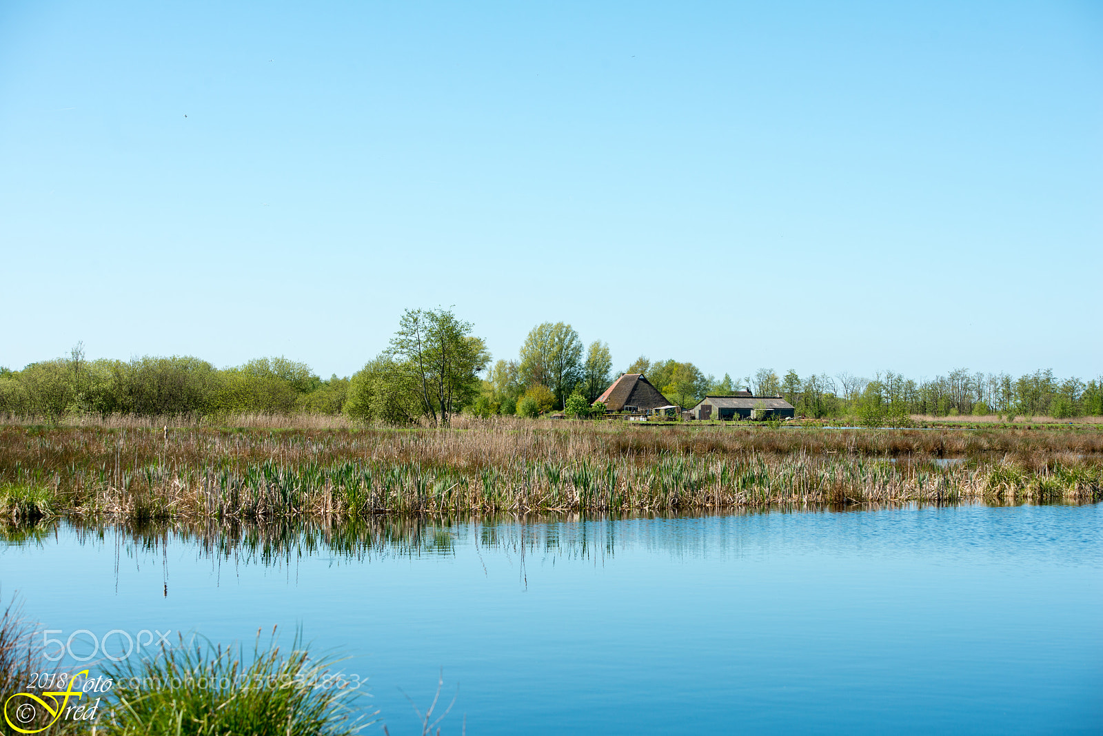 Nikon D800 sample photo. House with a view photography